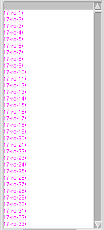 RandomSpice execution directories